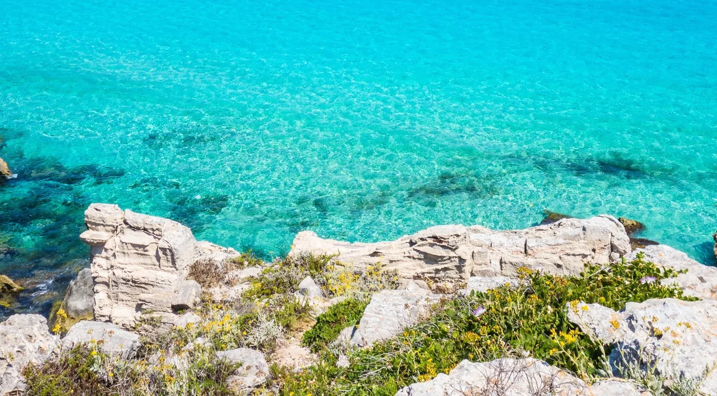 Clear shallow water over white rock, typical of the Favignana snorkelling stops