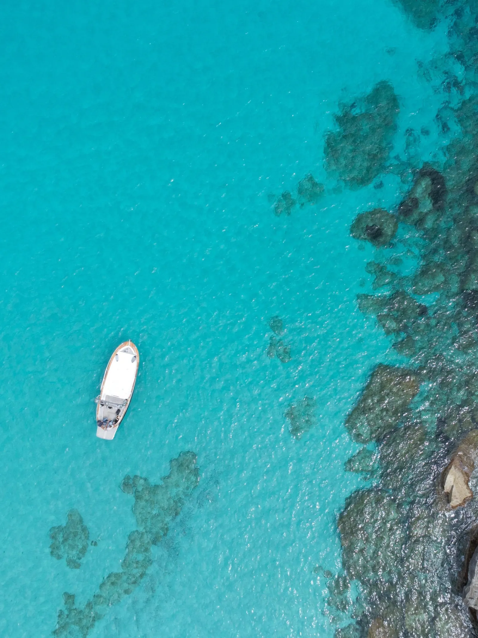 The gozzo alone over a rocky seabed, photographed from directly above