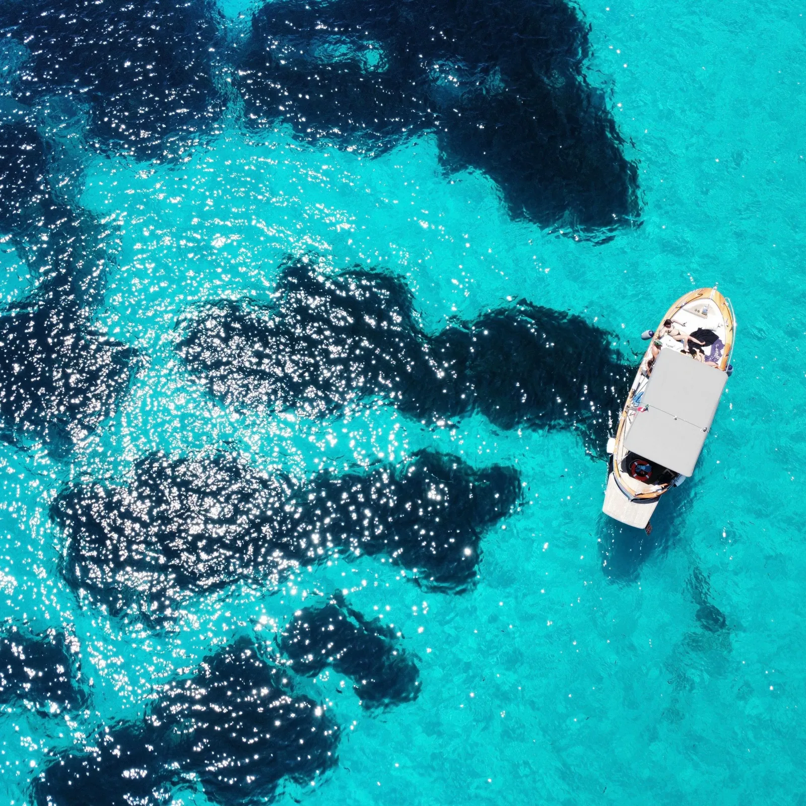 The gozzo anchored at the edge of dark seagrass in bright shallow water