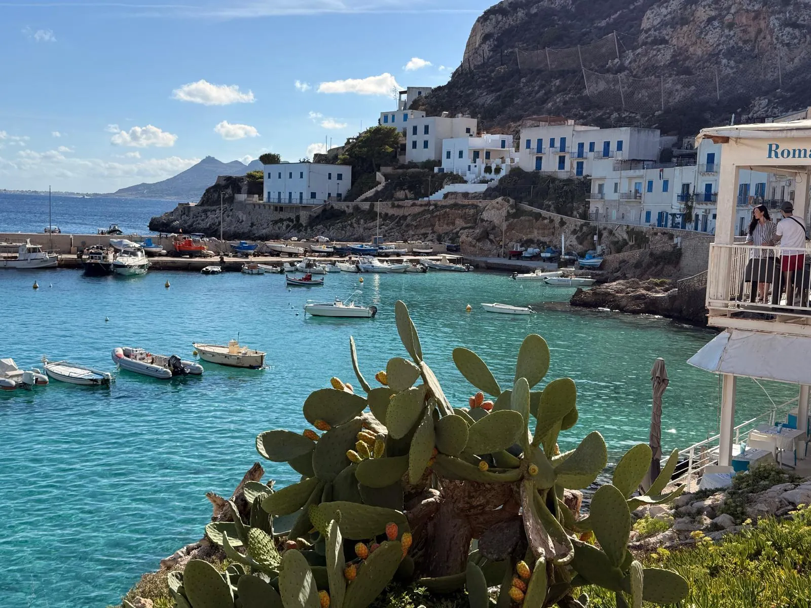 Levanzo's harbour and whitewashed houses seen from the water