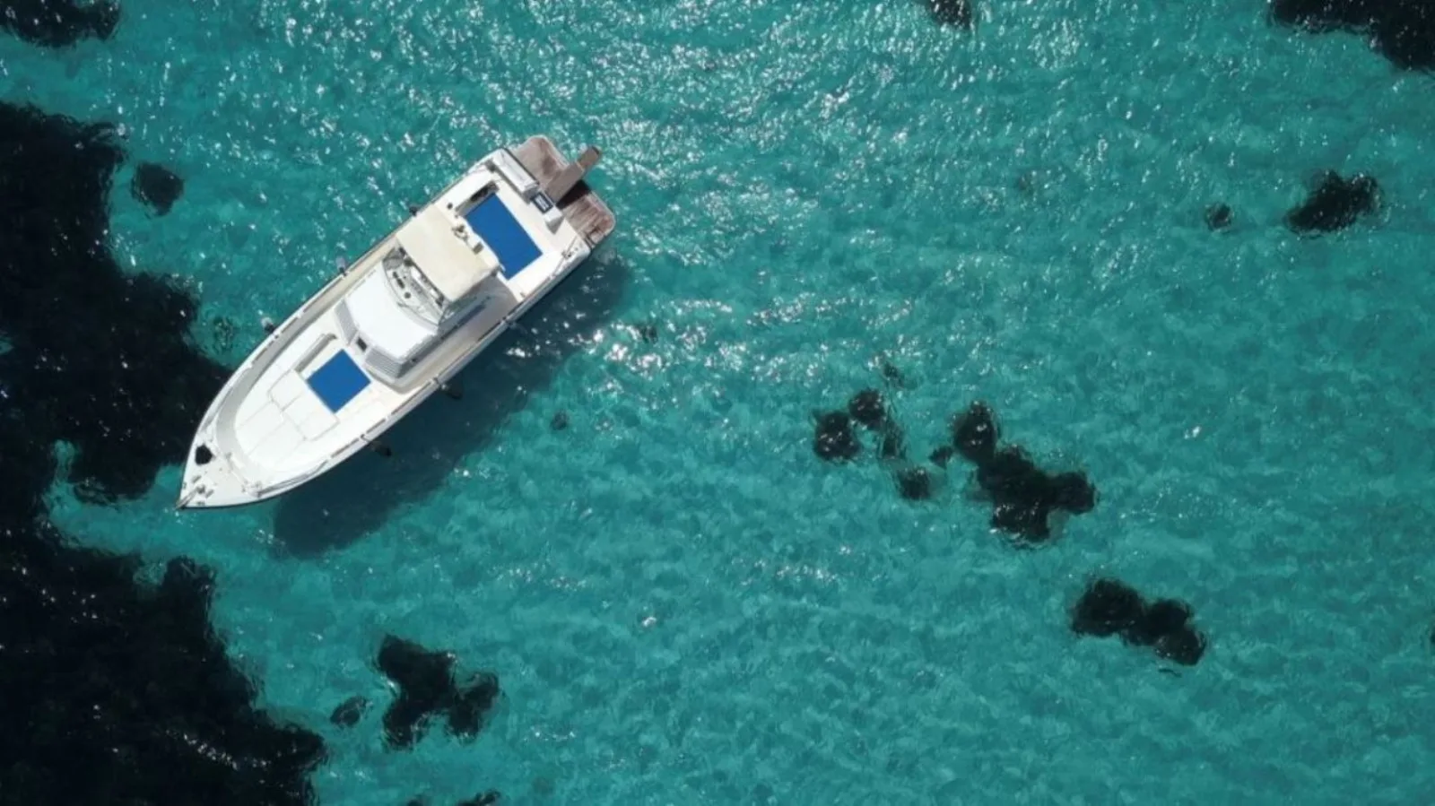 From Trapani: Favignana & Levanzo Mini-Yacht Tour with Lunch